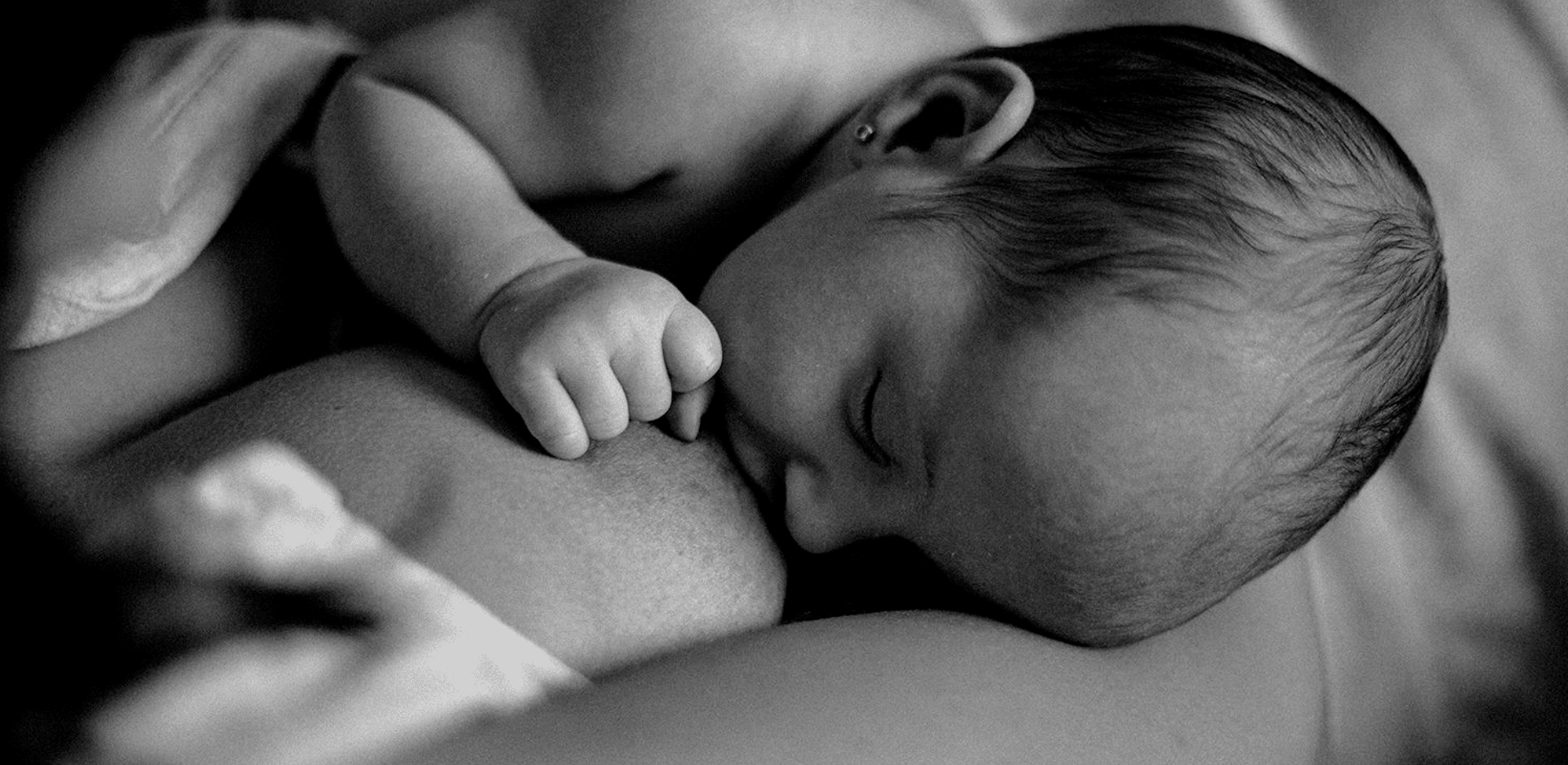 fotografía de un bebé recién nacido